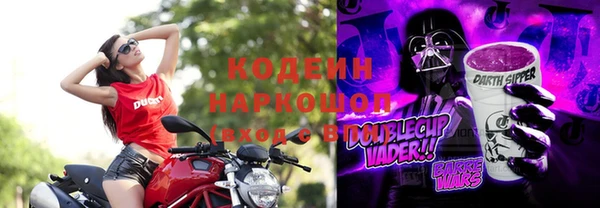 прущие грибы Елизово