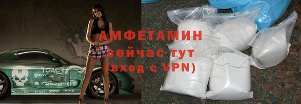 прущие грибы Елизово