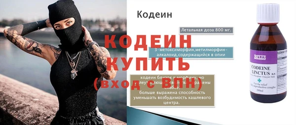 прущие грибы Елизово