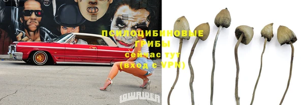 бошки Ельня