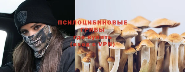 гашик Елабуга