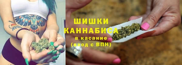 бошки Ельня
