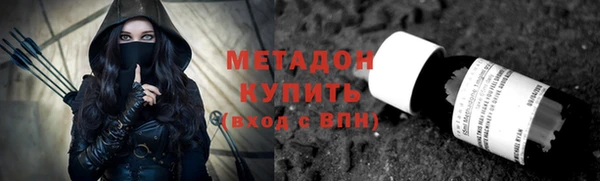 прущие грибы Елизово