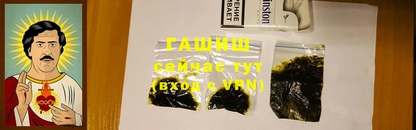 прущие грибы Елизово