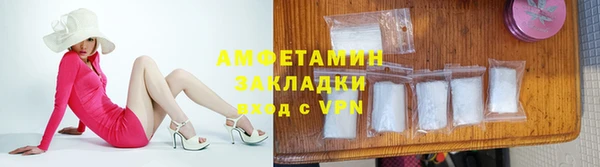 прущие грибы Елизово