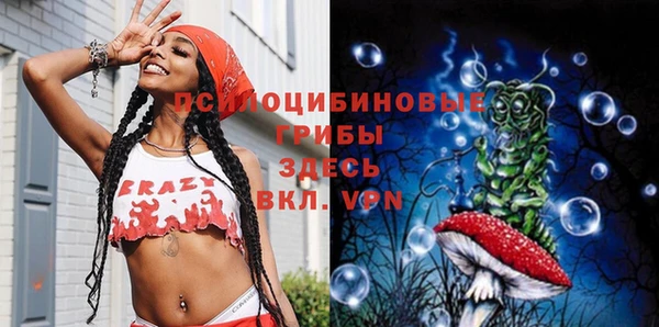 бошки Ельня