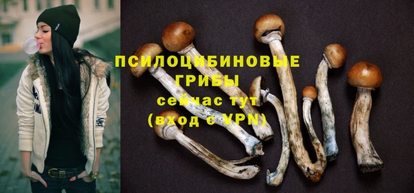 бошки Ельня