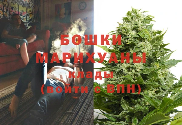 прущие грибы Елизово