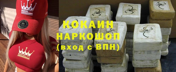 прущие грибы Елизово