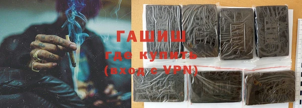 прущие грибы Елизово