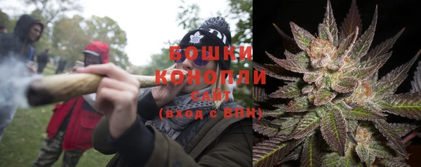 бошки Ельня