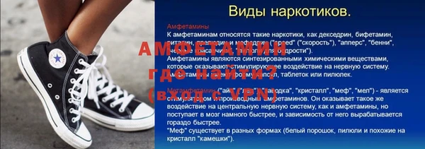 прущие грибы Елизово