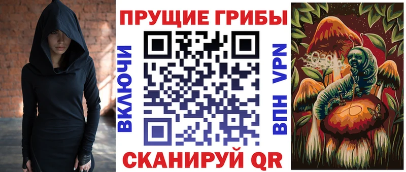Псилоцибиновые грибы Psilocybine cubensis  Купить  Ипатово 