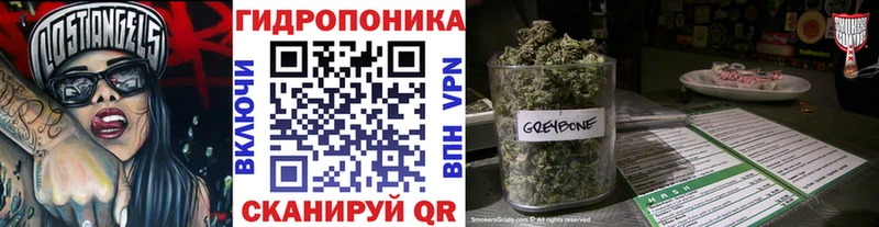Купить закладки  Ипатово  Бошки марихуана White Widow 